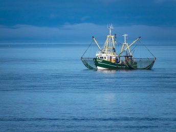 Pfingsten an der Nordsee - inkl. Frühstück, Abendessen & Wellness