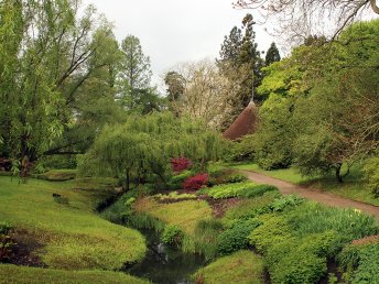 Rostock genießen - Botanischer Garten und Kurzurlaub