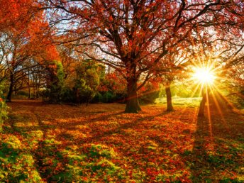 Rostock im Herbst - Zoobesuch & Ostsee-Trip
