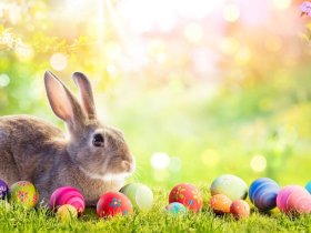 Ostern in Rostock – Frühlingsauszeit an der Ostsee