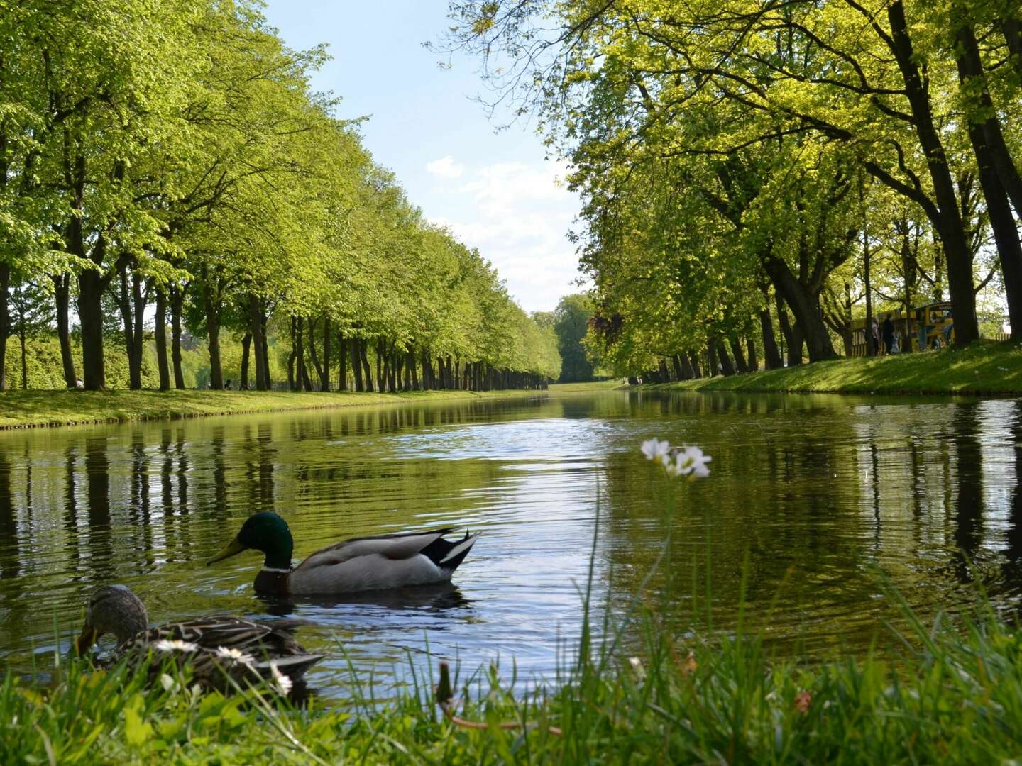 Jahreswechsel am Schweriner See