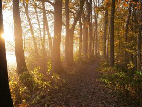  3  Verwöhn Tage inkl. 1 x Dinner vor den Toren Hamburgs