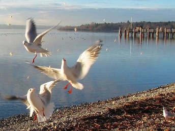 Osterzeit am Ammersee