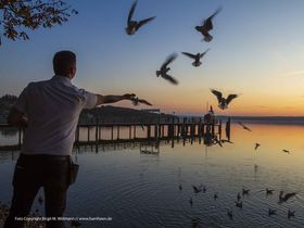 Rund um die Starnberg/Ammersee Region inkl. Schifffahrt