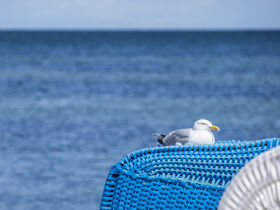 Frühsommer am Meer / 4 Tage