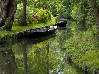 Spreewald-Erholung - 5 Tage im Hotel Willmersdorfer Hof 