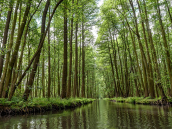 Spreewald-Erholung - 5 Tage im Hotel Willmersdorfer Hof 