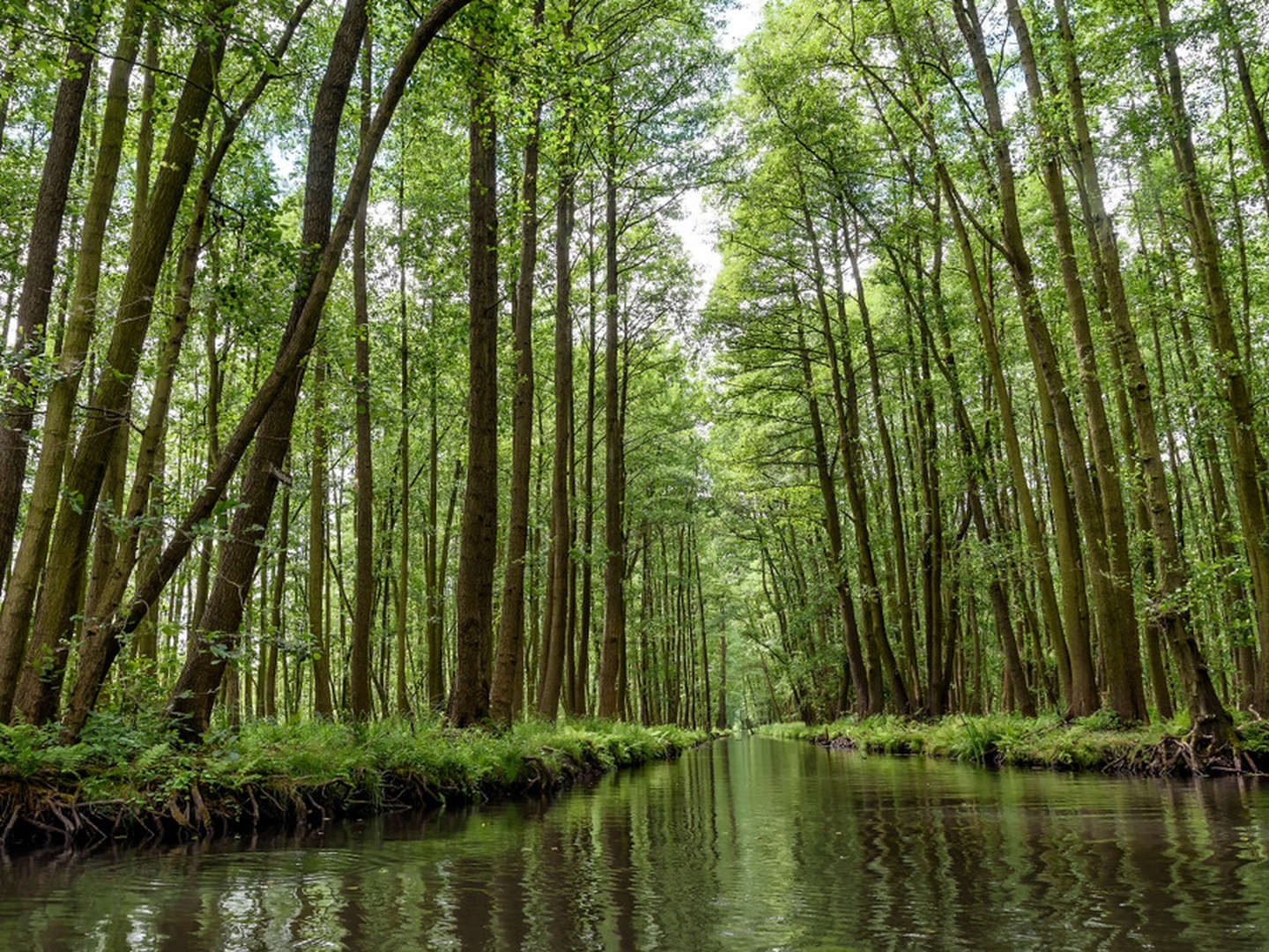 Männer unter sich in der Nähe vom Spreewald