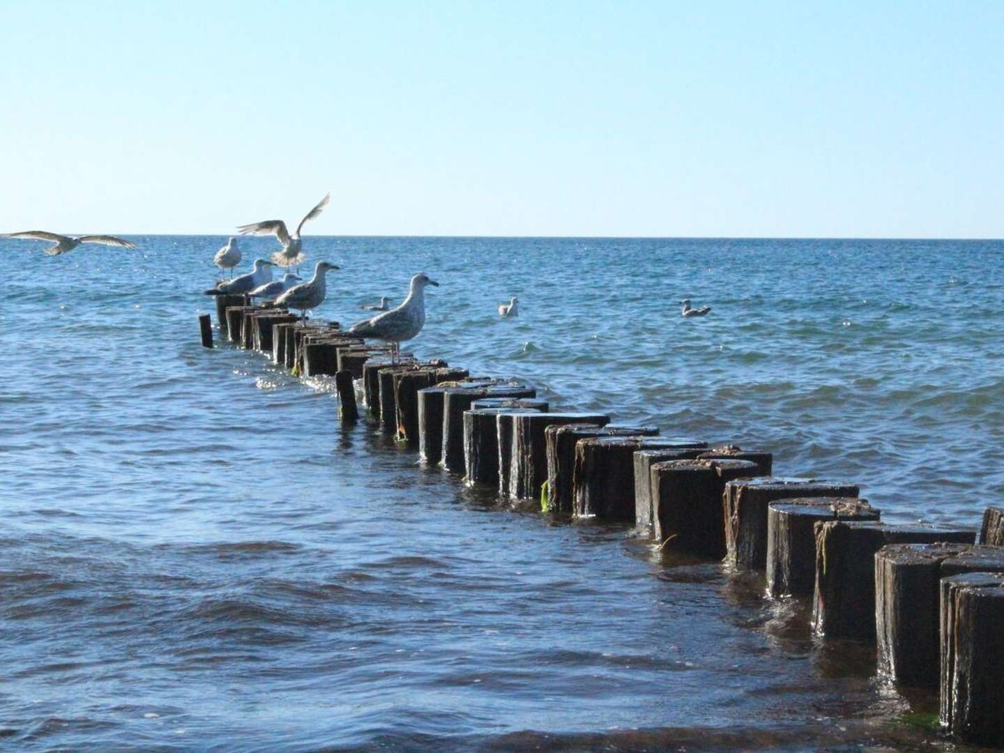 Tanken Sie Kraft am Meer inkl. Abendessen