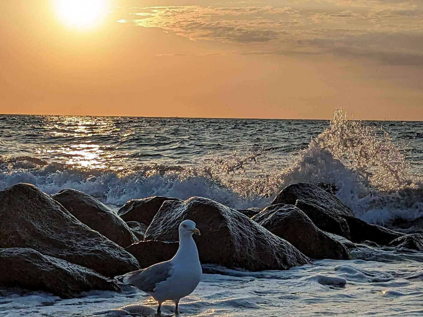 Tanken Sie Kraft am Meer inkl. Abendessen