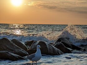 Abschalten am Meer inkl. Abendessen