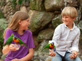 Silvester in der Lüneburger Heide
