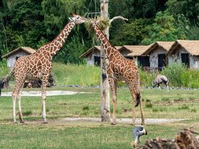 Silvester in der Lüneburger Heide