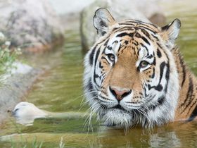 Silvester in der Lüneburger Heide