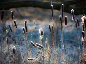 Winterträume im Spreewald 3 Nächte 