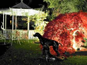 Zeit zu Zweit am Rhein inkl. HP bei Koblenz