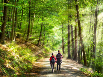 Wandern am Rhein & Siebengebirge | 3 Tage