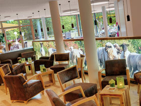 Trier entdecken inkl. Abendessen & Trier Card 