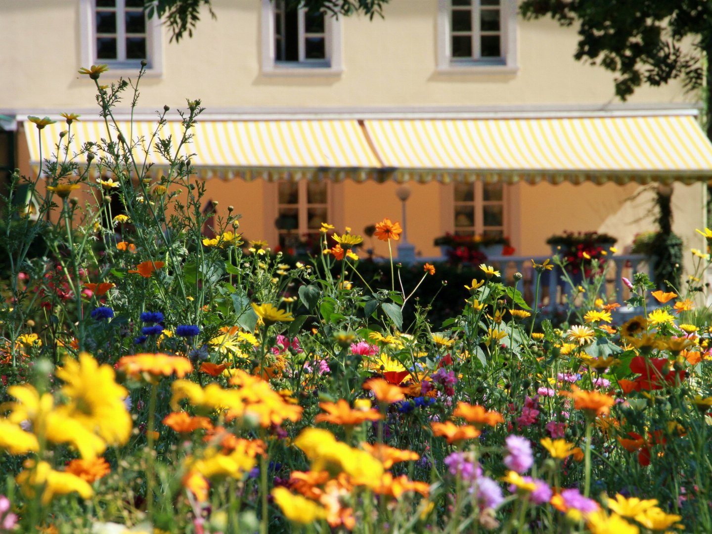 Sommerwoche