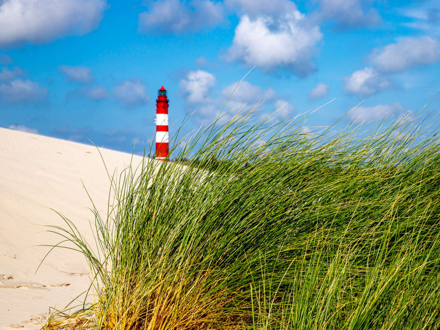 BIIKE Brennen 2025 auf Amrum an der Nordsee  I 2 Nächte 