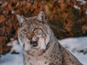 Wellness-Thermenzeit in Bad Harzburg