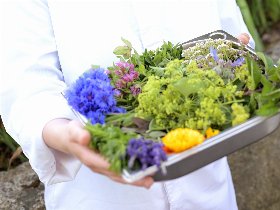 Ins Land der Franken fahren! Geschenk: fränkisches Biertragerl