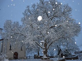 Silvester im Schwarzwald – Genuss & Lebensfreude an der Donauquelle