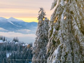 Silvester im Schwarzwald – Genuss & Lebensfreude an der Donauquelle