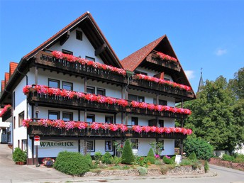 Wanderung mit Sauschwänzlebahn und Donauquelle