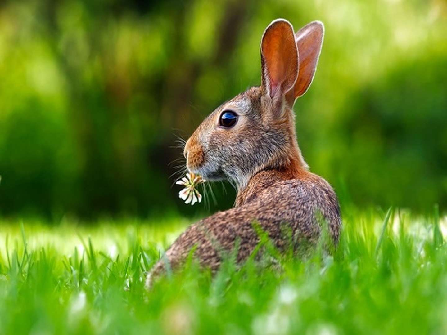 Ostern am Bodensee mit Segelausfahrt