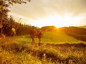 Feiertage im Repetal - 3 Tage Kurzurlaub im Sauerland + Abenddinner - Pfingsten