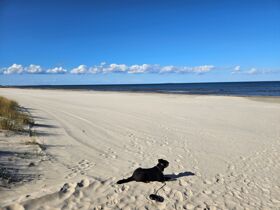 4 Tage die Ostsee auf Usedom genießen inkl. Abendessen