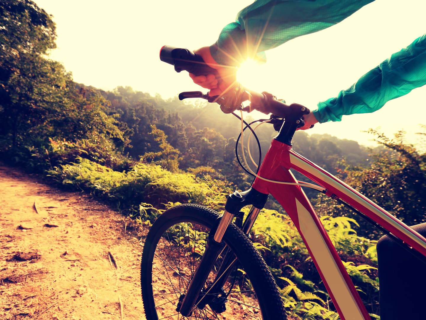 1 Fahrrad und 4 Premiumtouren | 3 Tage an die Mosel inkl. 3-Gang-Menü