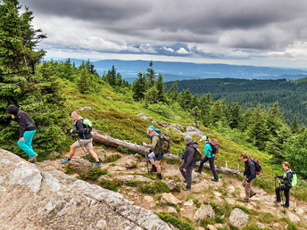 Baumwipfelpfad im Bayerischen Wald erklimmen inkl. Halbpension | 3 Tage