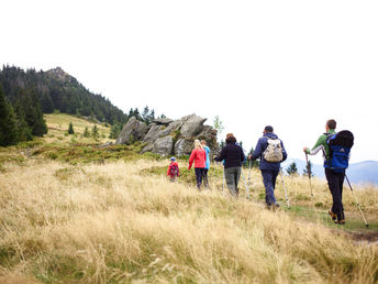 Baumwipfelpfad im Bayerischen Wald erklimmen inkl. Halbpension | 3 Tage