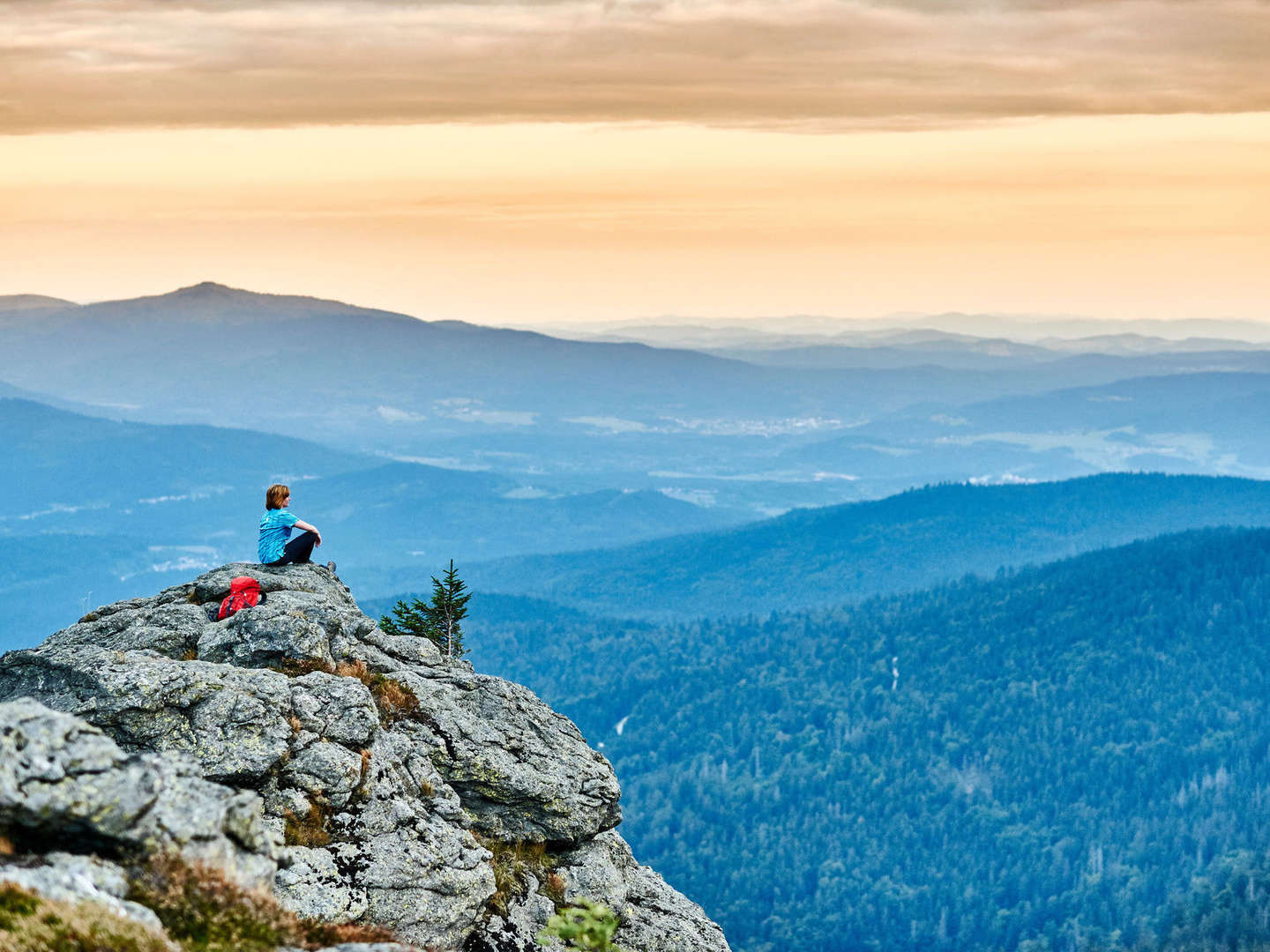 Baumwipfelpfad im Bayerischen Wald erklimmen inkl. Halbpension | 3 Tage