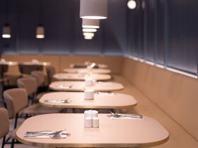 Gassi-Wochenende in Mainz - Kurzurlaub mit Hund