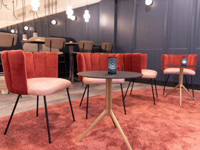 Gassi-Wochenende in Mainz - Kurzurlaub mit Hund