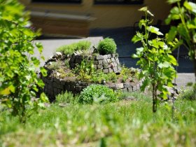 Gänsemarsch in der Pfalz - 3 Tage inkl. HP