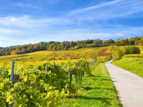 Gänsemarsch in der Pfalz - 3 Tage inkl. HP