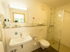 Gänsemarsch in der Pfalz - 3 Tage inkl. HP