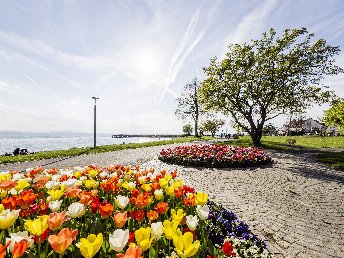 Saisonausklang am Bodensee