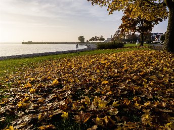 Saisonausklang am Bodensee