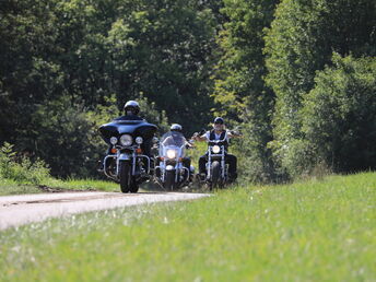 Urlaub mit dem Vierbeiner in Franken