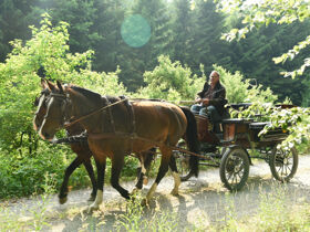 Familien-Silvester im Schlossresort
