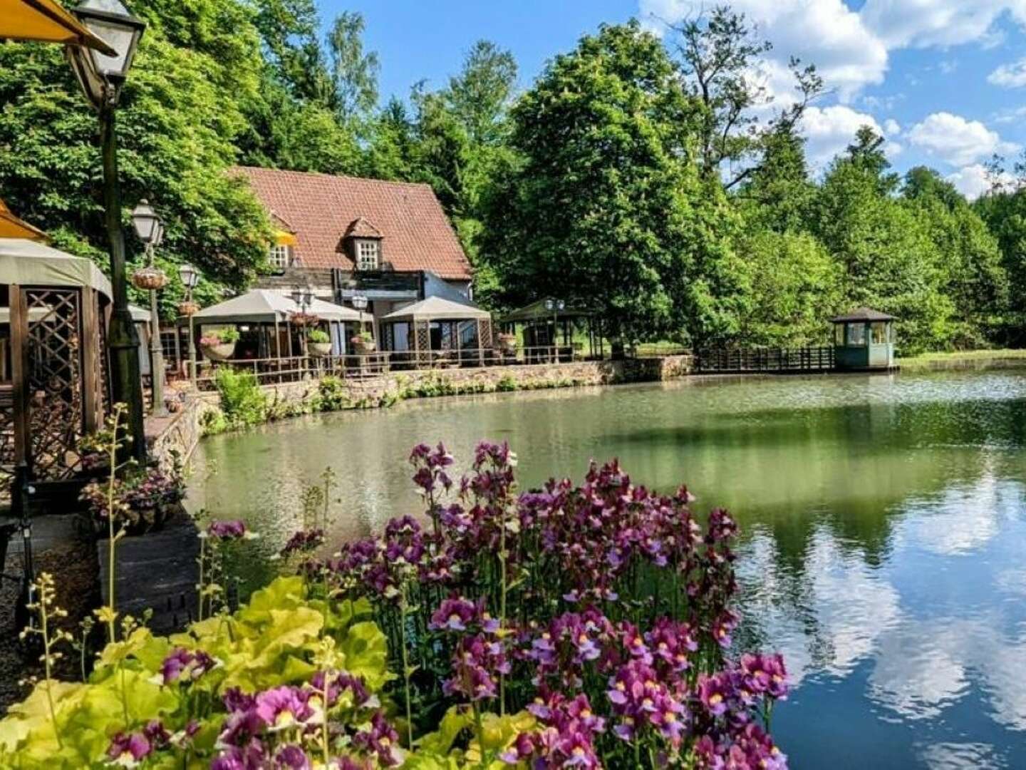 4 Tage Urlaub mit Hund im Waldhotel Silbermühle - Komfort im Naturpark - tgl. Lunch Paket &  Dinner