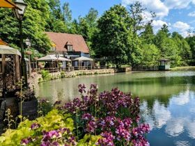 Romantische Nacht im Silberbachtal im Teutoburger Wald