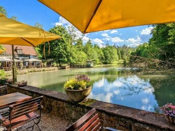 4 Tage Urlaub mit Hund im Waldhotel Silbermühle - Komfort im Naturpark - tgl. Lunch Paket &  Dinner