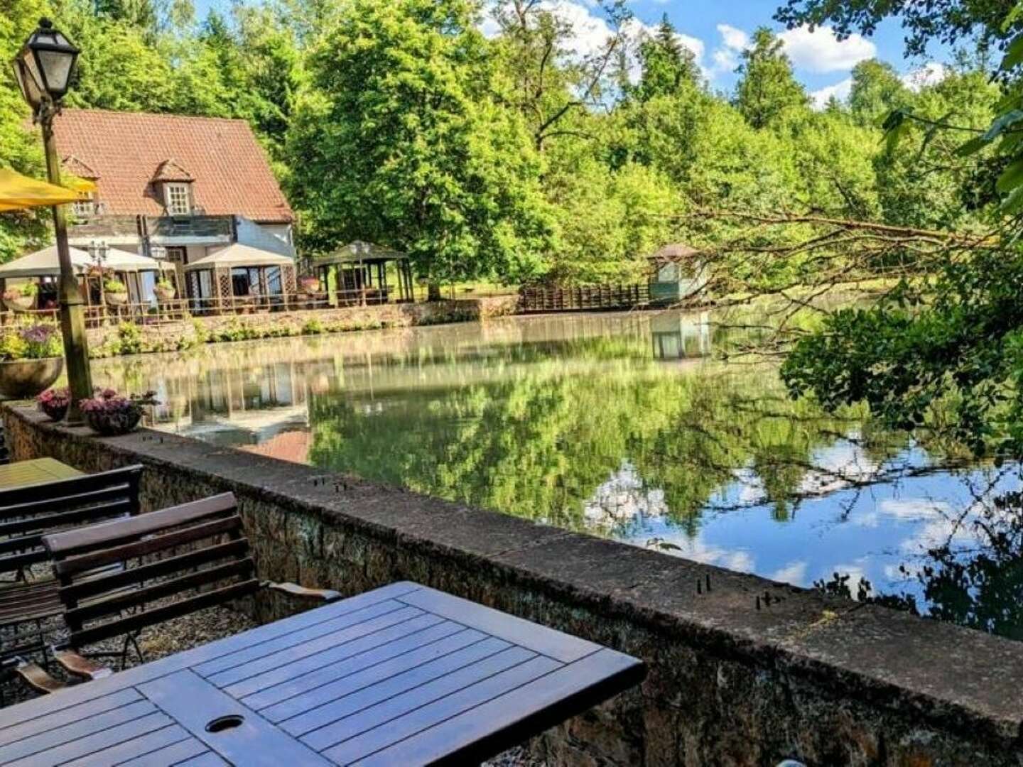 Pfötchenurlaub - 3 Tage im Silberbachtal im Teutoburger Wald