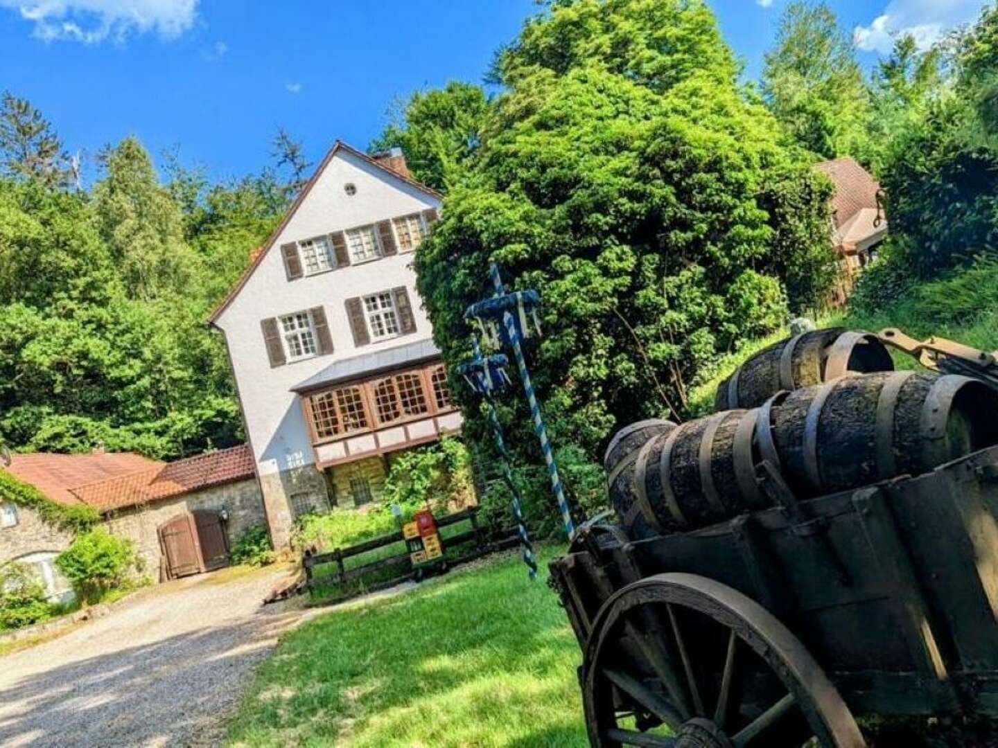 4 Tage Urlaub mit Hund im Waldhotel Silbermühle - Komfort im Naturpark - tgl. Lunch Paket &  Dinner